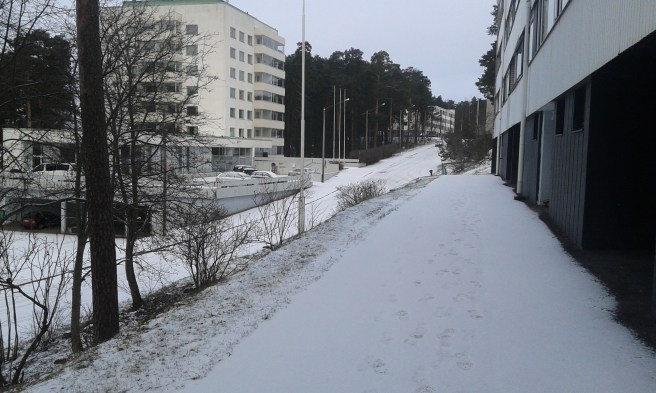Precis lagom mycket snö och minus sju grader. Finemang!