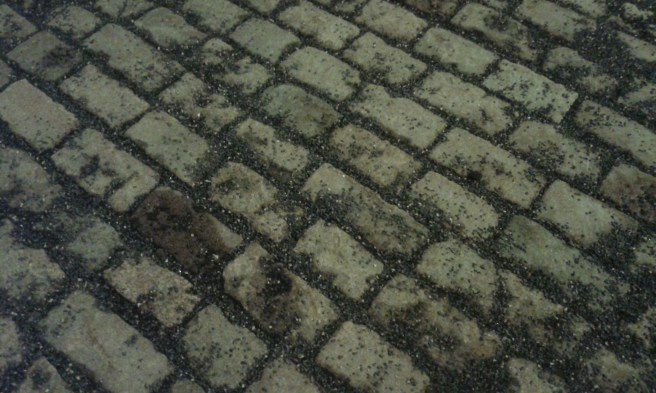 Jag bara såg dem och fotograferade dem.