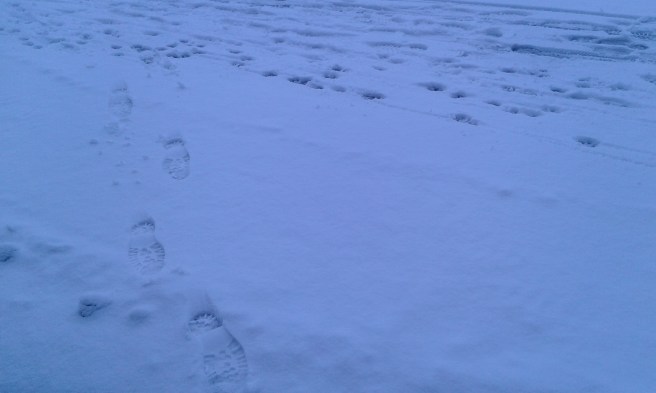 Nyfallen snö och många spår på gång- och cykelbanan. Bara mina som går till busskuren.