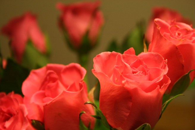 "Jag tänkte att vi kunde behöva ett fång med blommor" sa maken när han kom hem med dem i dag.  Ja, det måste inte alltid finns en speciell anledning då man köper blommor. De är alltid fina!