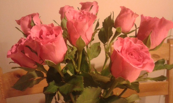 På första bilden fick rosorna riktigt bra färg, men stolarna i bakgrunden störde mig lite.