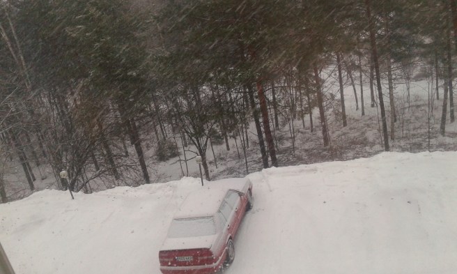 Och lördagens väder i Lovisa i södra Finland ser ut så här. Snöblandat regn, plus en grad. På bilden syns också vår fina Svensson :-)