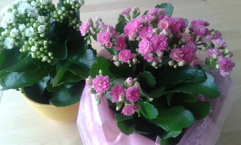 Så här fina blommor hade gästerna med sig.