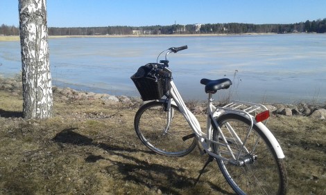 Min splitternya Tunturi Saga ser vit ut på den här bilden men är egentligen beige.