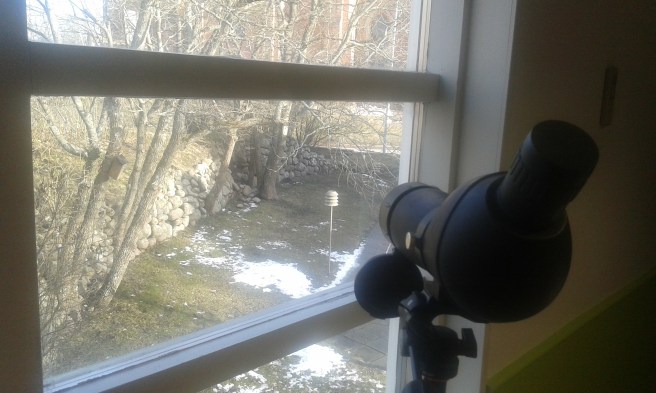 Än är det ganska lugnt i holken, men vi väntar på att det ska börja gå livat till inom kort.