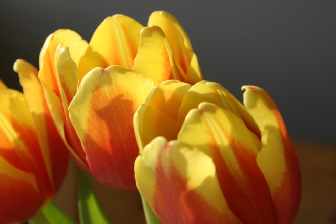 Ha en bra dag alla ni som läser min blogg!