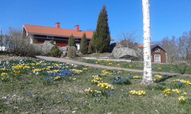 I parken mellan Shells station och Bastion Ungern blommade krokus och en massa andra små blommor.