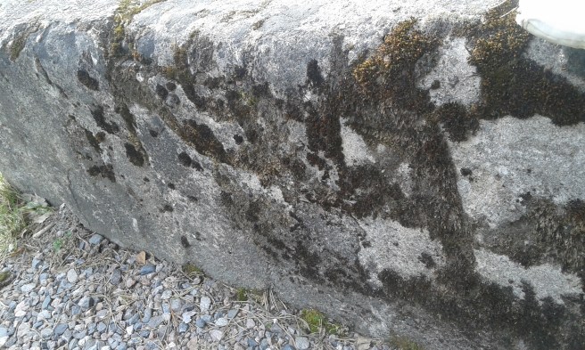 Jag tycker också mycket om mossa i kombination med sten. Såsom på den här trappan.