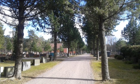 I går badade nya kyrkogården i sol. Vi tog bort granris från ett par gravar och snart är det dags att hämta vårblommor hit.