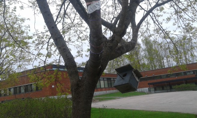 Kanske någon konstig konstälskande fågelfamilj bosatt sig här. Tror det här var avsett mer som ett konstverk på svenska högstadiets gård. Men vem vet? :-D