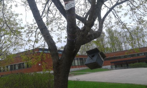 Kanske någon konstig konstälskande fågelfamilj bosatt sig här. Tror det här var avsett mer som ett konstverk på svenska högstadiets gård. Men vem vet? :-D