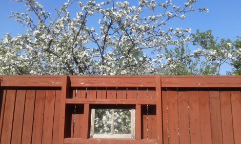 Så vackert och somrigt.