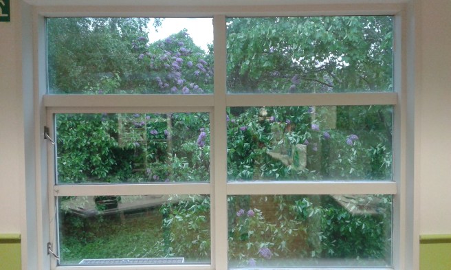 Redaktionens fönster på gaveln mot öst.