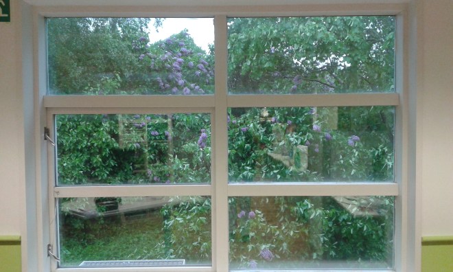 Redaktionens fönster på gaveln mot öst.