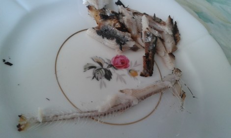 Första fisken klar att ätas upp. Vi åt dem på lätt smörade knäckebröd. Benranglen kastade vi bort :-)