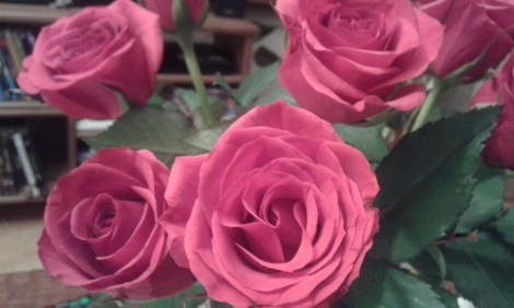 Rosor jag fick av Guuben till födelsedagen.