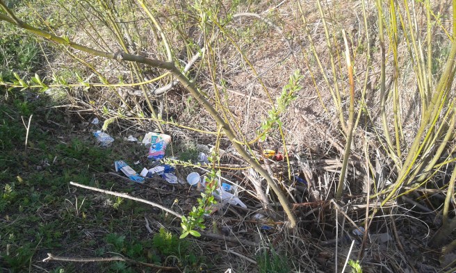 Inga vackra blommor i det här diket.