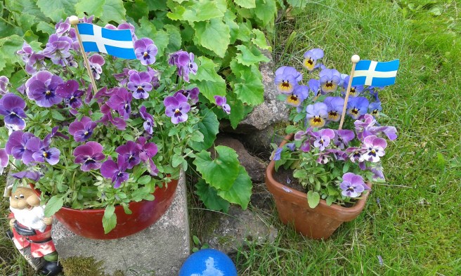 Svenska flaggan i topp också i Finland!