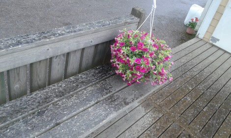 Tro det eller ej men i dag har vi haft plus 3-4 grader och nederbörden kom i form av snöblandat regn och hagel.