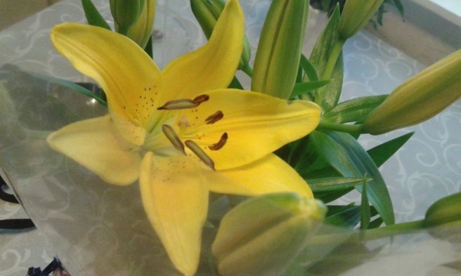 Liljor, en av födelsedagsblommorna.