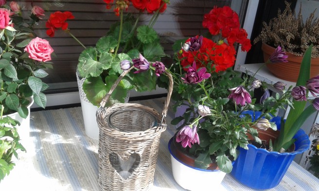 Kanske kan passa i köket i mitt nya hem.