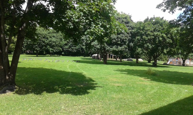 Inbjudande ser badstrandens gräsmatta också ut, åtminstone på bild :-) Men i dag trivdes bara kanadagässen där.