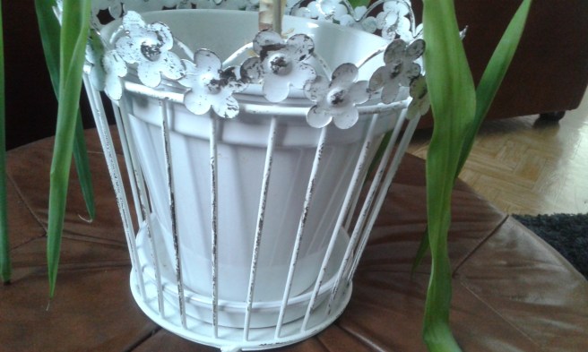 Ett nytt hölje för en kruka.