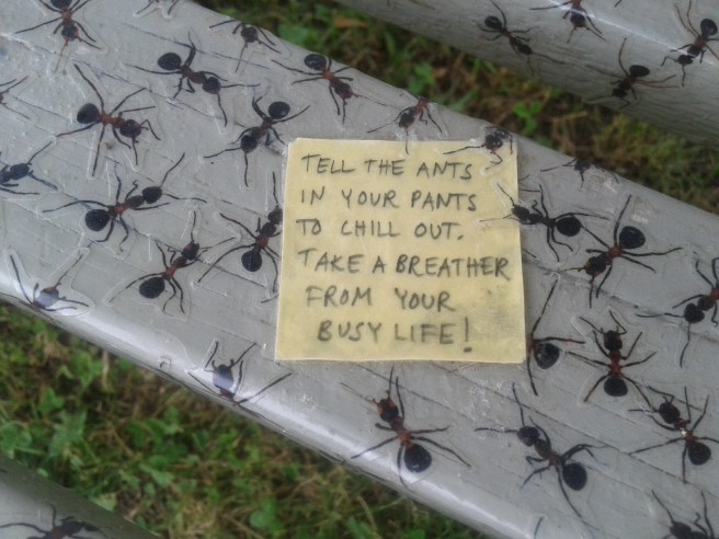 Hanna Olá har gjorde bänken med myrorna. Ants in your pants. Sätter man sig på den kanske det nog lite börjar klia i baken :-)