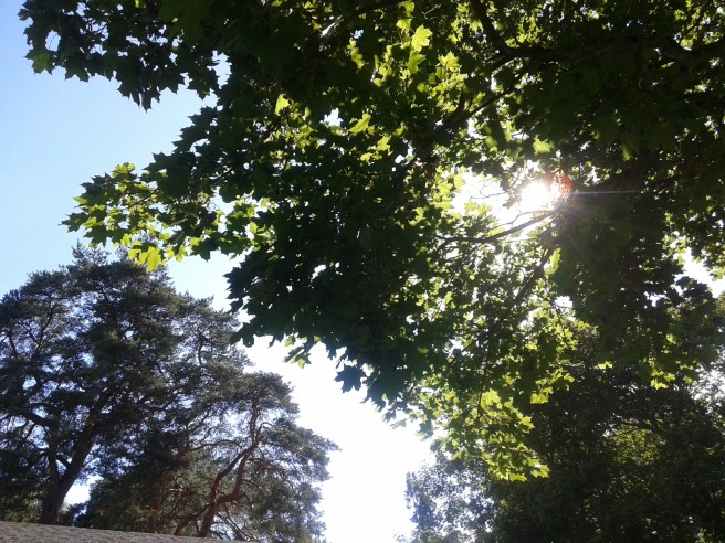 Se så fint hjärtat lyser!