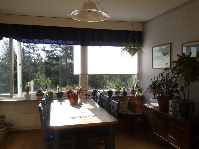 Salen kallar jag det här rummet och det är ett av dem jag gillat mest.