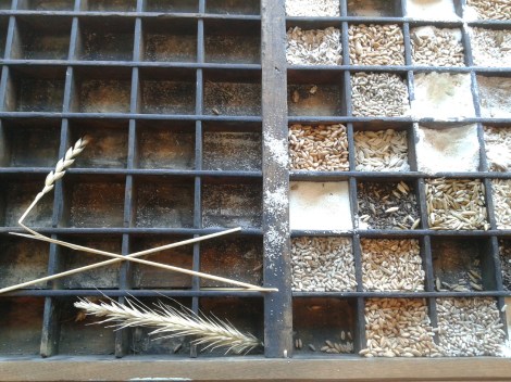 Olika sädesslag, antar jag :-)