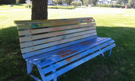 En annan bänk med ödlor och rumpavtryck :-)