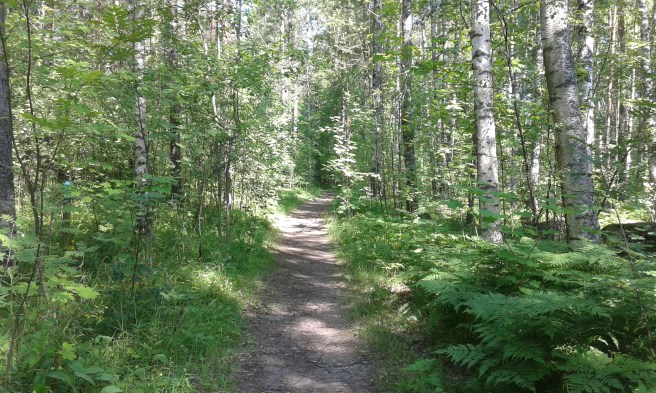 Från Kretsgången kan man gena genom boulognerskogen. Den här stigen leder mot tennisplanerna och badstranden.