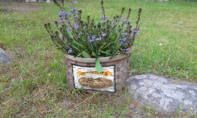 En prydnad på gården.