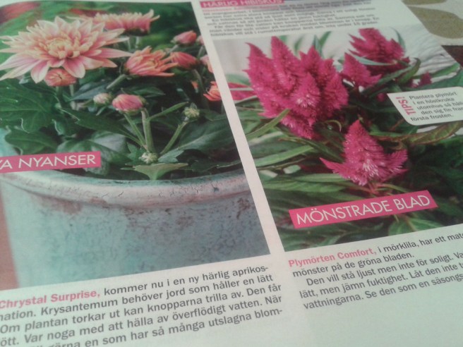 Inspireras av bilder i veckotidningar.