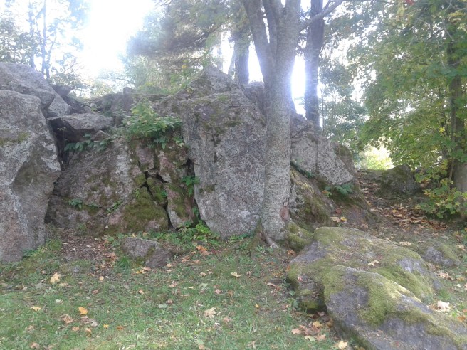 Om barnen från skolan får gå till parken hittar de många spännande ställen att utforska.