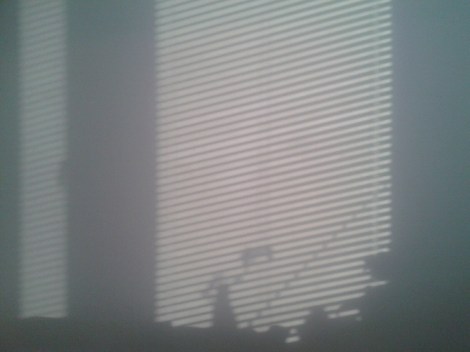 Vägg i köket klockan 8.30 på morgonen.