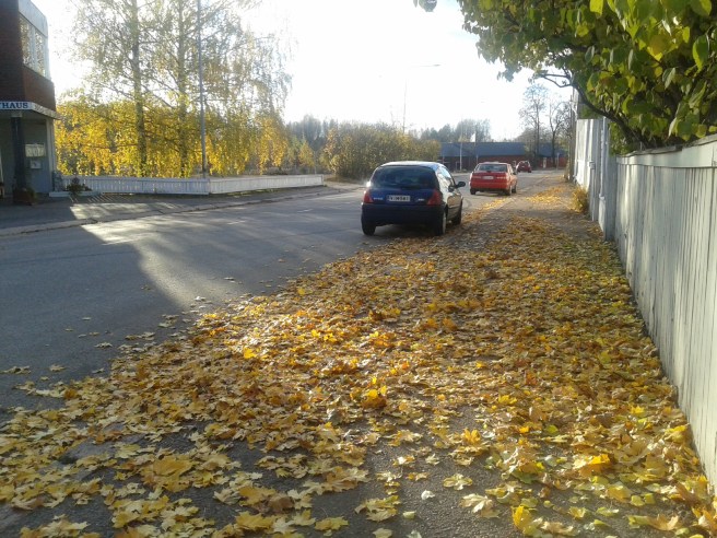 Sibeliusgatan i Lovisa.