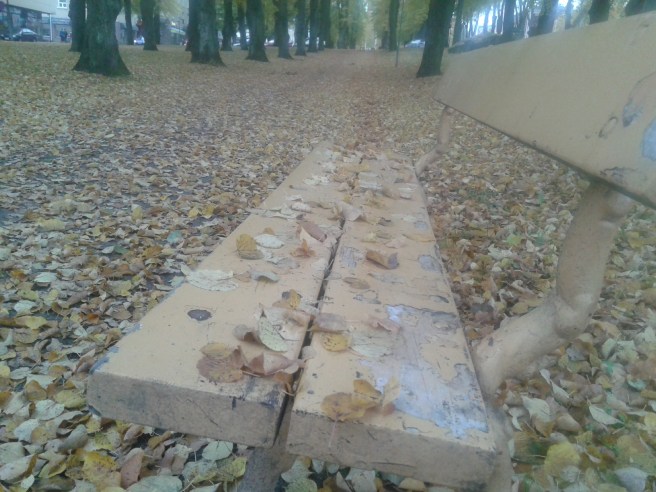 Nu har löven kommit ner från träden och de landar där de landar :-)