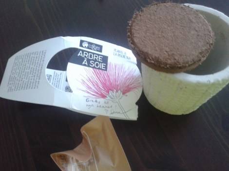 Ska bli spännande att se hur växten utvecklas.