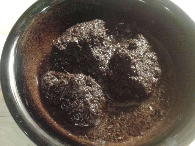 Blöt kokos. Eller memma? Eller bajs?