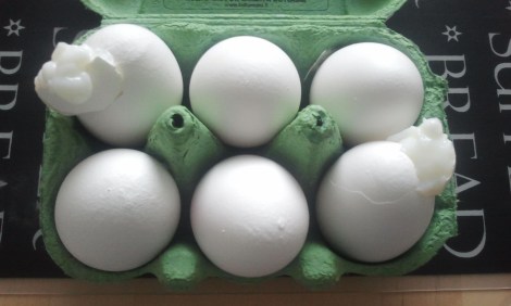 Roliga eller äckliga, det är frågan hos oss just nu.