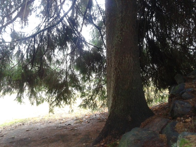 Perfekt gömställe och spännande, vid kyrkogården.