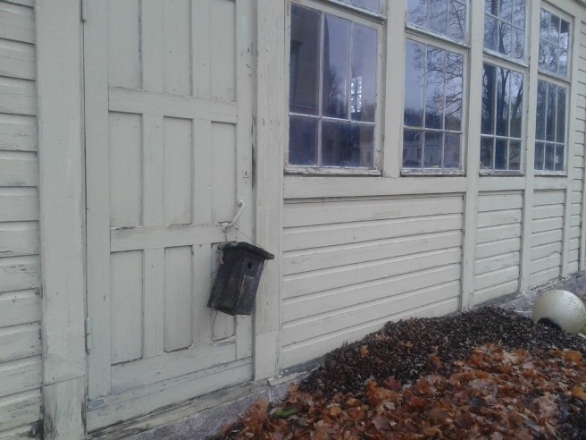 Originellt ställe att placera en holk på :-D