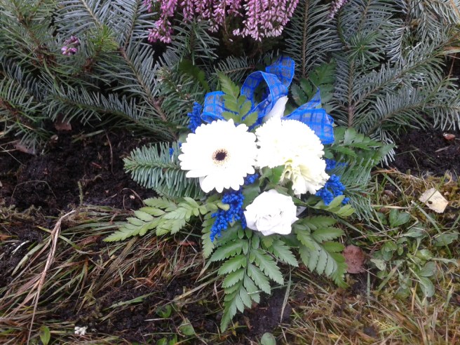 Tror att pappa gillar Finlands färger på blommorna på fars dag.