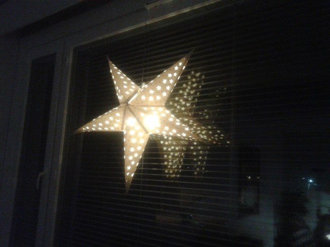 Min enda julprydnad.