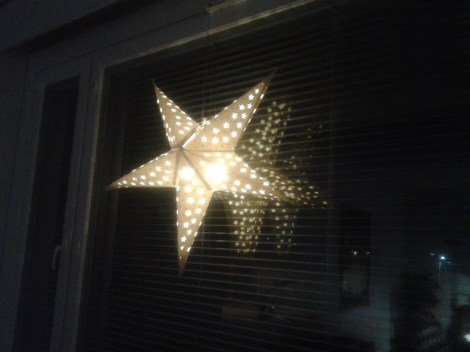 Min enda julprydnad.