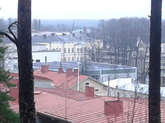 En del av Lovisa stadskärna sedd från Kvarnåsen.