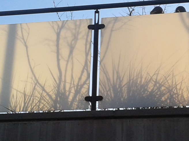 Sedan fick jag syn på ett konstverk till - skapat av ett buskage och solen :-)