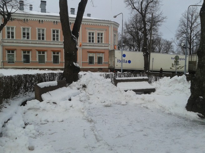 Än dröjer det att tag innan krokusarna blommar på gräsmattan bakom bänkarna.